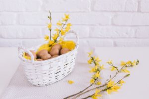 egg basket