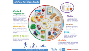 food pyramid for older adults