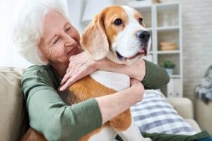 Pet Safety for Older Adults